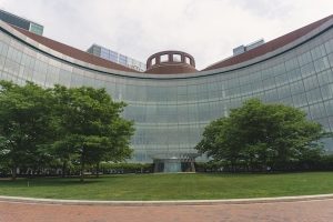 Former Penn Swimmers Sue Harvard For Allowing Trans Athletes To Compete